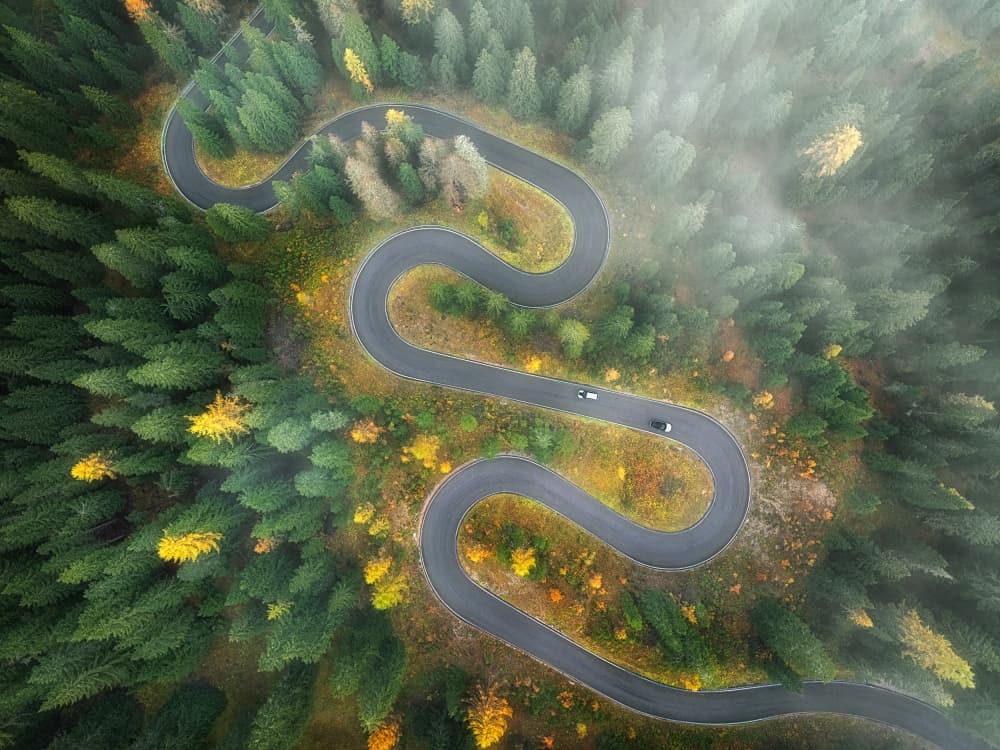 Winding Autumn Road by Mei Xu — canvas wall art
