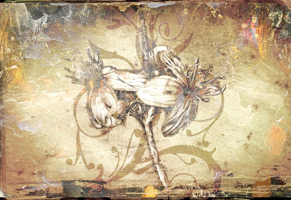Vintage Floral Elegance by Rafal Kulik — canvas wall art