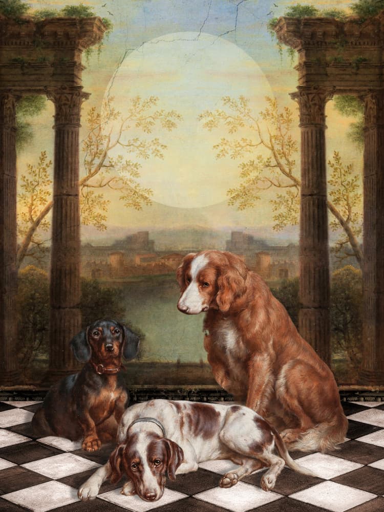 Three Dogs Ancient Ruins