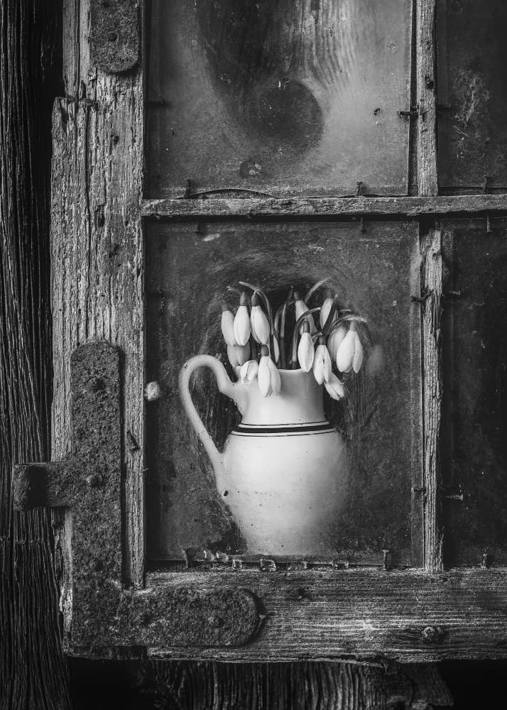 Snowdrops in Rustic Window by Normunds Kaprano — canvas wall art