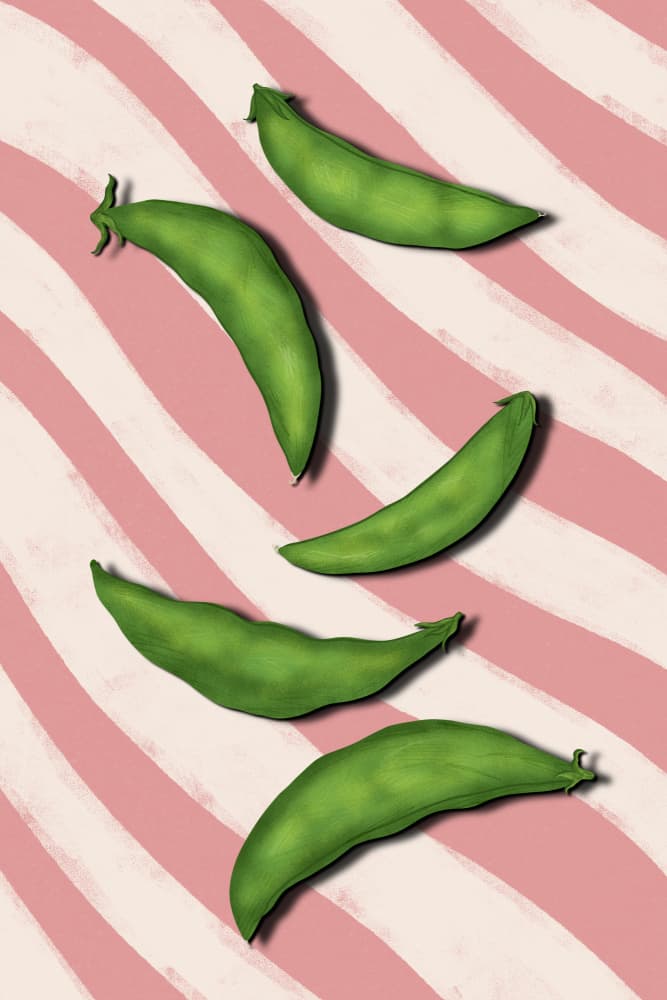 Green Pea Pods by EMELIEmaria — canvas wall art