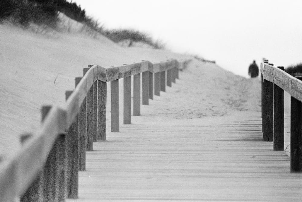 Path Through Dunes by Paulo Abrantes — canvas wall art