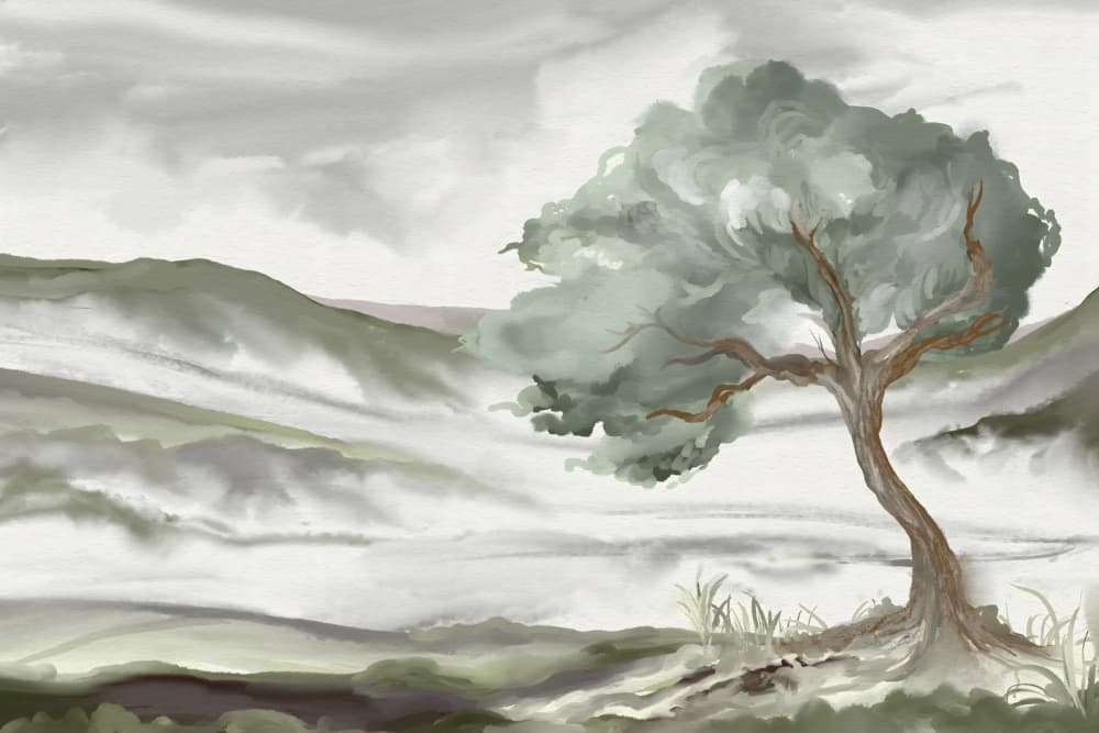 Misty Hillside Tree