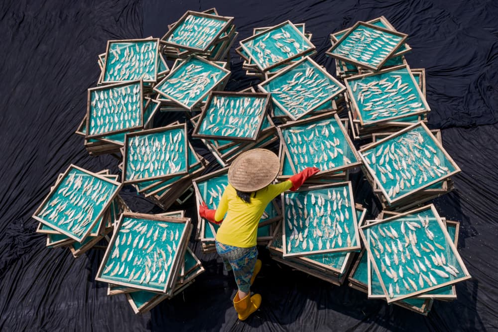 Traditional Seafood Drying by Lisdiyanto Suhardjo — canvas wall art