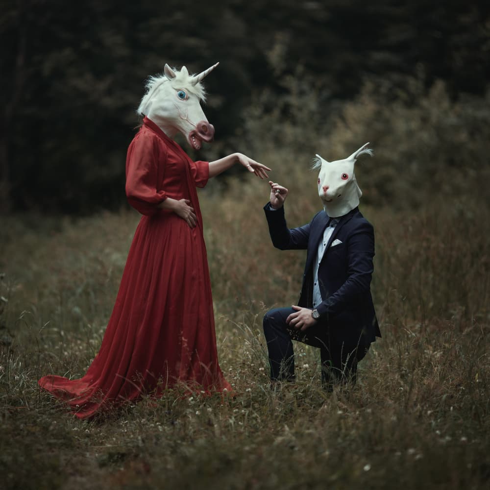 Unicorn Rabbit Proposal by Raluca Arhire — canvas wall art