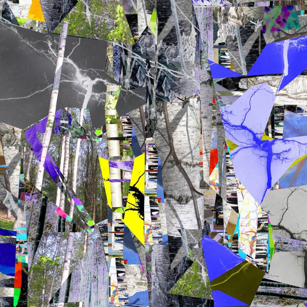 Fragmented Birch Forest by Stefan Fransson — canvas wall art