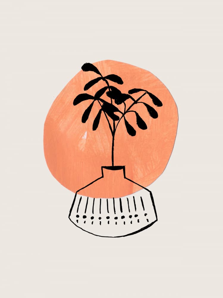 Modern Botanical Still Life by Ejaaz Haniff — canvas wall art