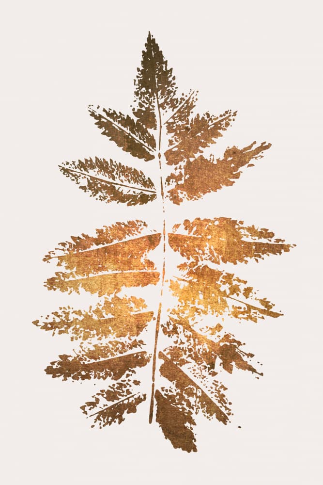 Oak Leaf Print   Gold by Kubistika — canvas wall art