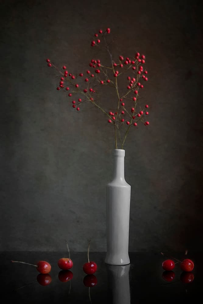 Red Berry Still Life by Lydia Jacobs — canvas wall art
