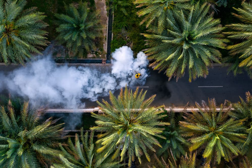 Tropical Road Fogging by Haitham AL Farsi — canvas wall art