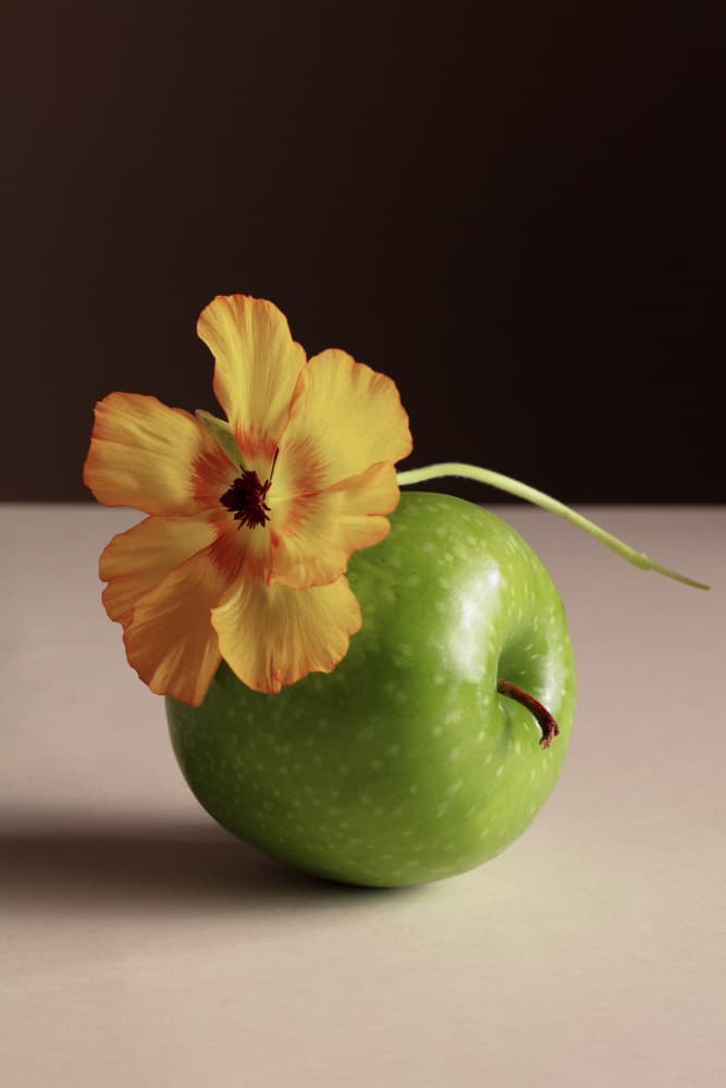 Fresh Apple Bright Flower by Julia Ramiro — canvas wall art