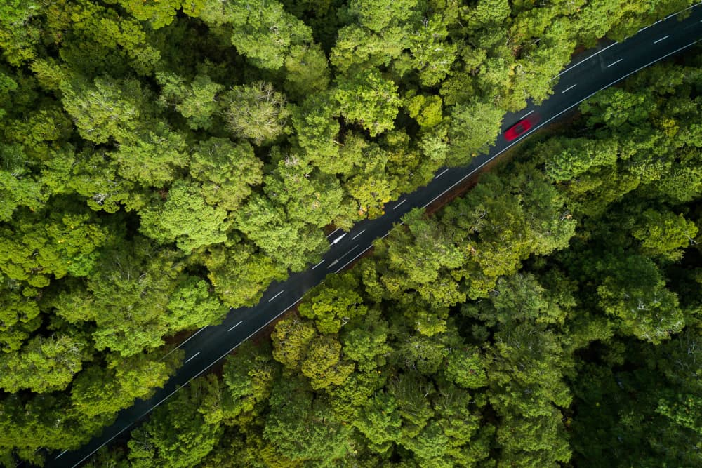 Aerial Forest Road Trip by Hafiz Ismail — canvas wall art