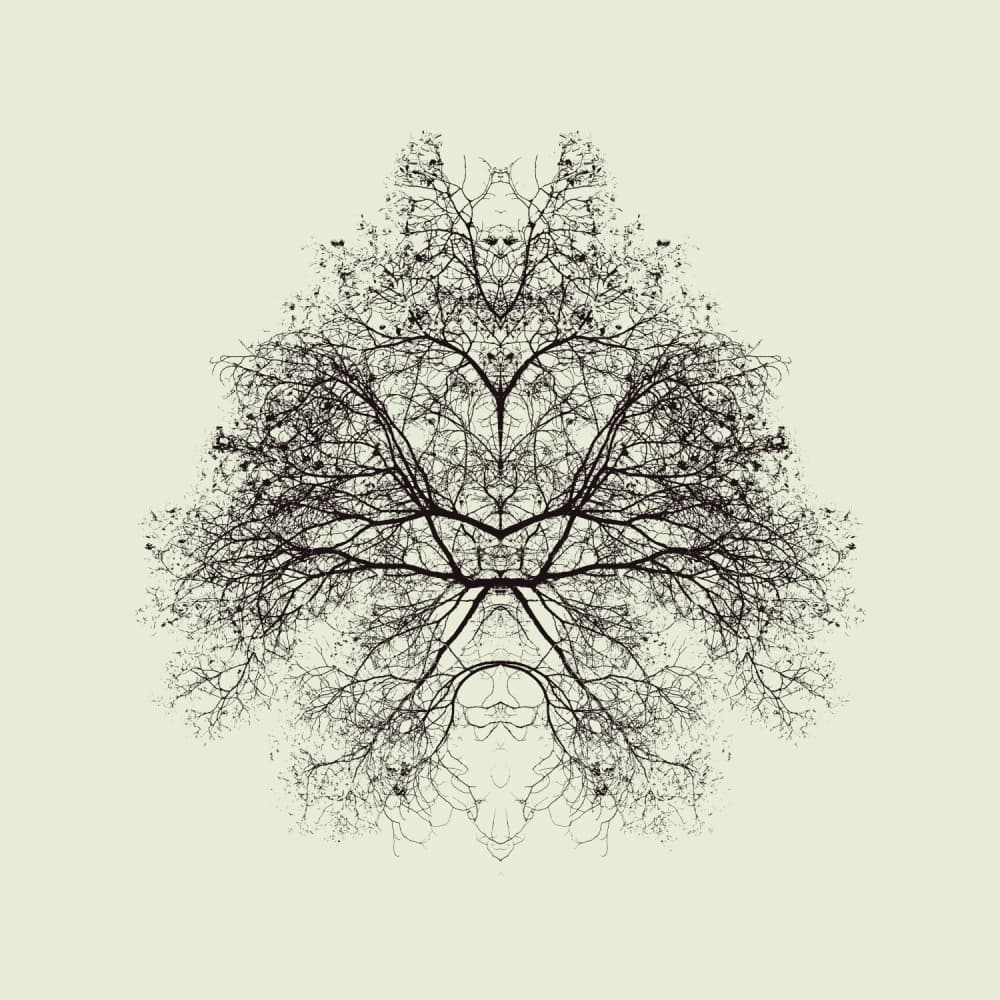Mystic Tree Symmetry by Nadav Jonas — canvas wall art