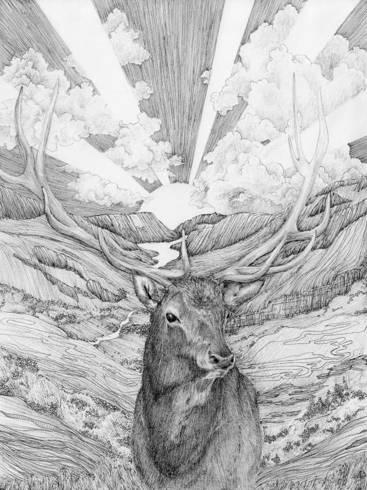 Majestic Mountain Stag by EC Mazur — canvas wall art