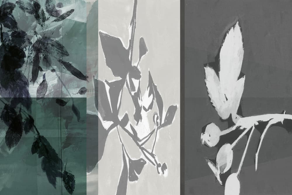 Serene Botanical Forms by cartissi — canvas wall art