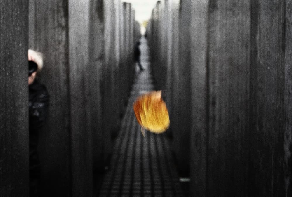 Golden Leaf Passage by Ricky Siegers — canvas wall art