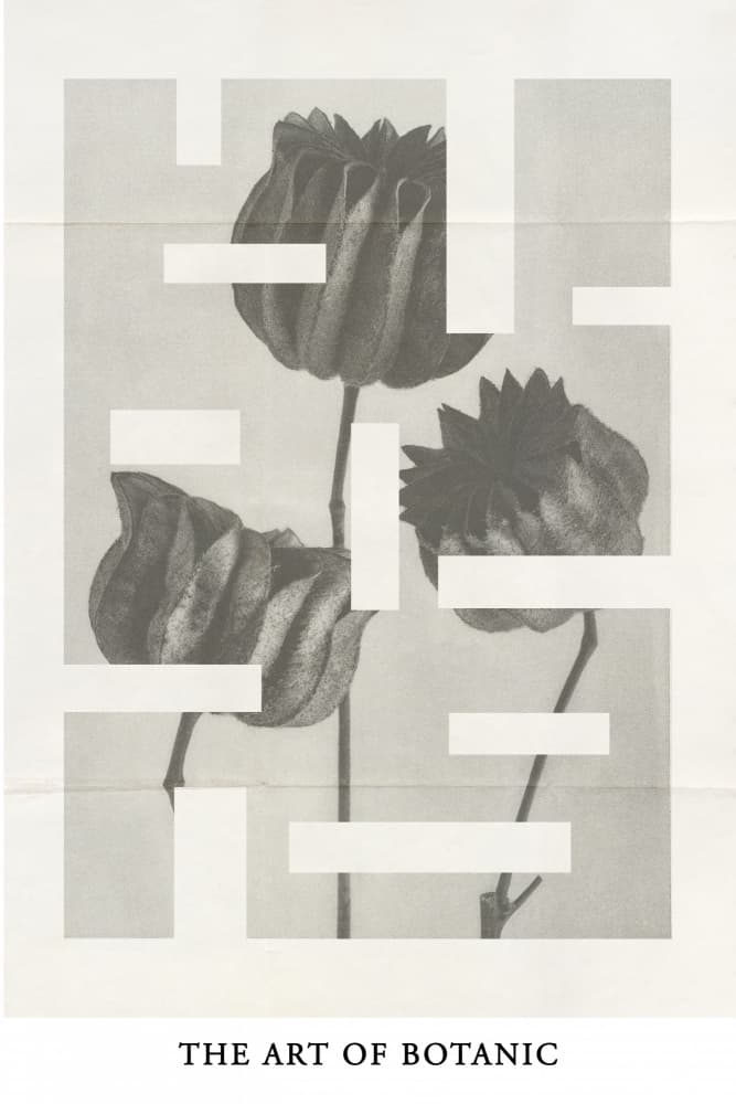 The art of botanic No.1