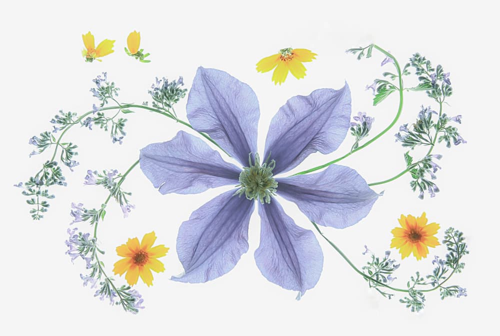 Fresh Floral Composition by Fangping Zhou — canvas wall art