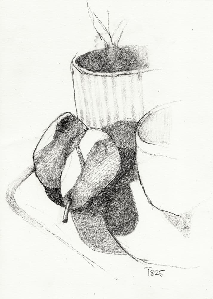 Pears Still Life Sketch by Tore Bahnson — canvas wall art