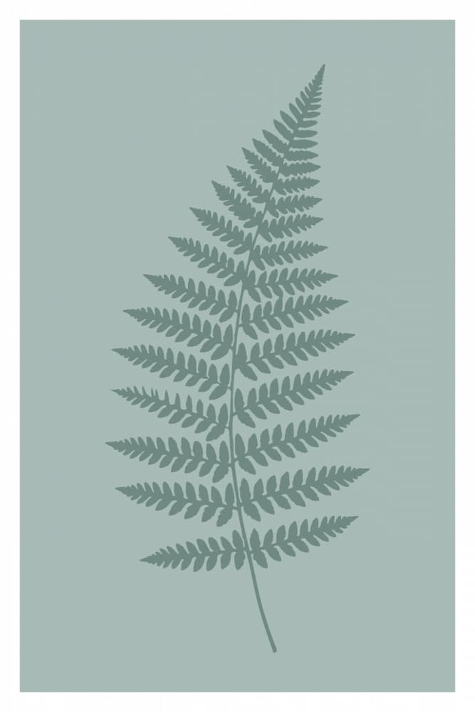 Serene Fern Leaf by casa cartissi — canvas wall art