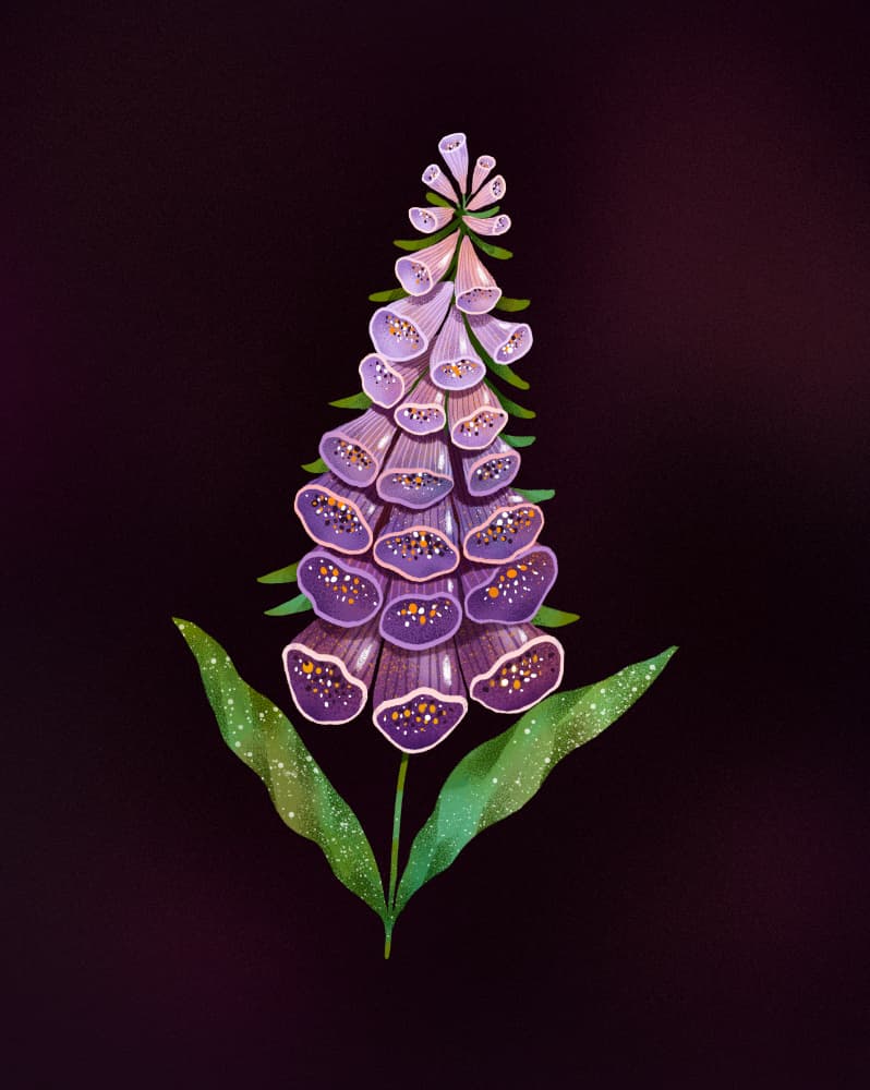 Elegant Purple Foxglove by Olga Skomorokhova — canvas wall art