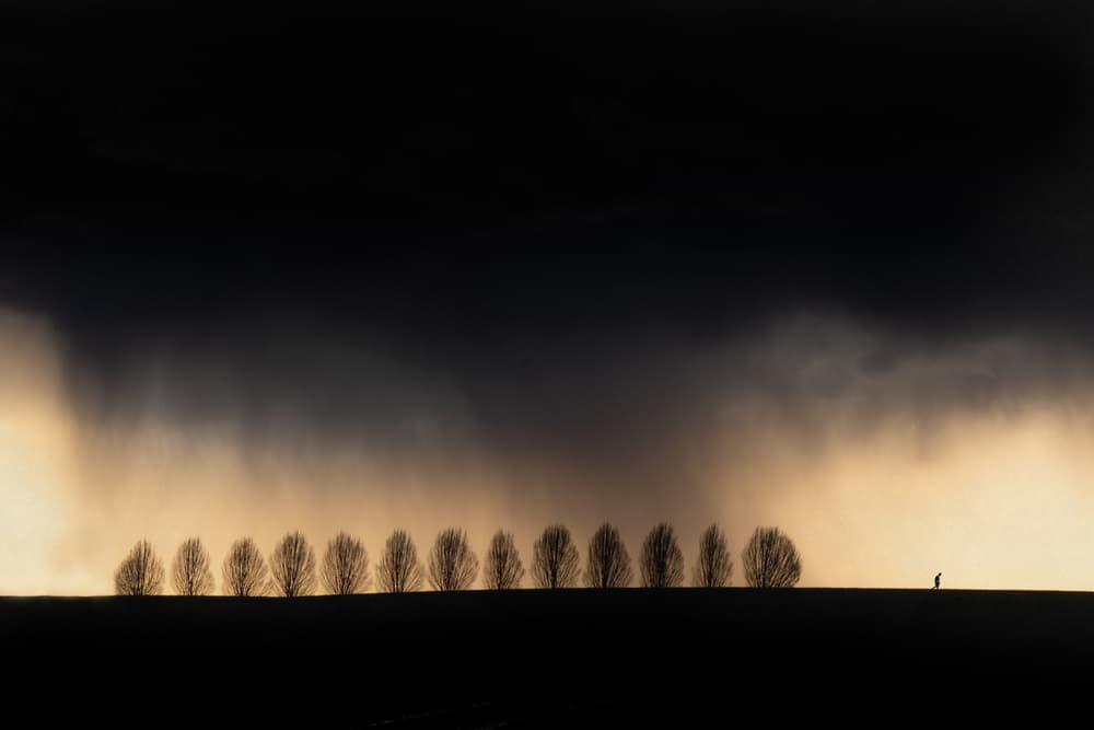Dramatic Rain Silhouette by Adam Dauria ☂ — canvas wall art
