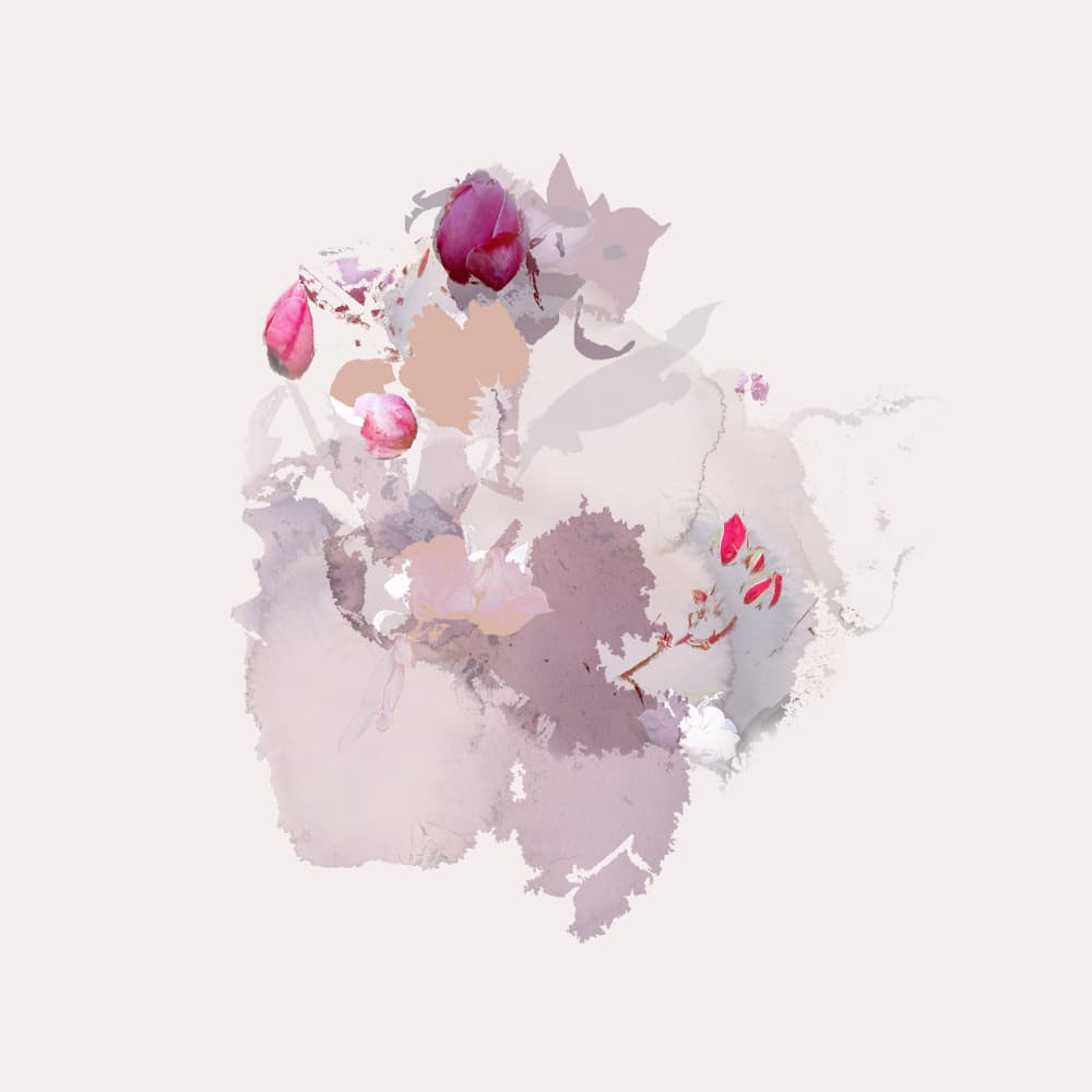 Pink Bloom Abstract by Miriam Stayte — canvas wall art
