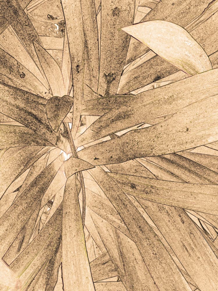 Sepia Leaf Pattern by Santhosh ch — canvas wall art