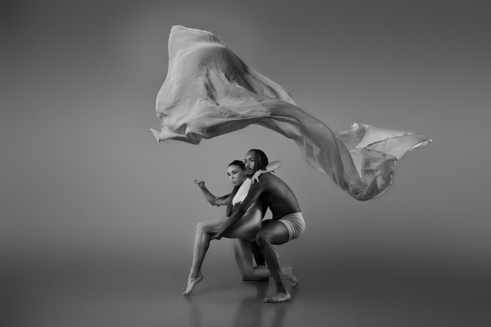 Dynamic Dance Embrace by Rob Li — canvas wall art