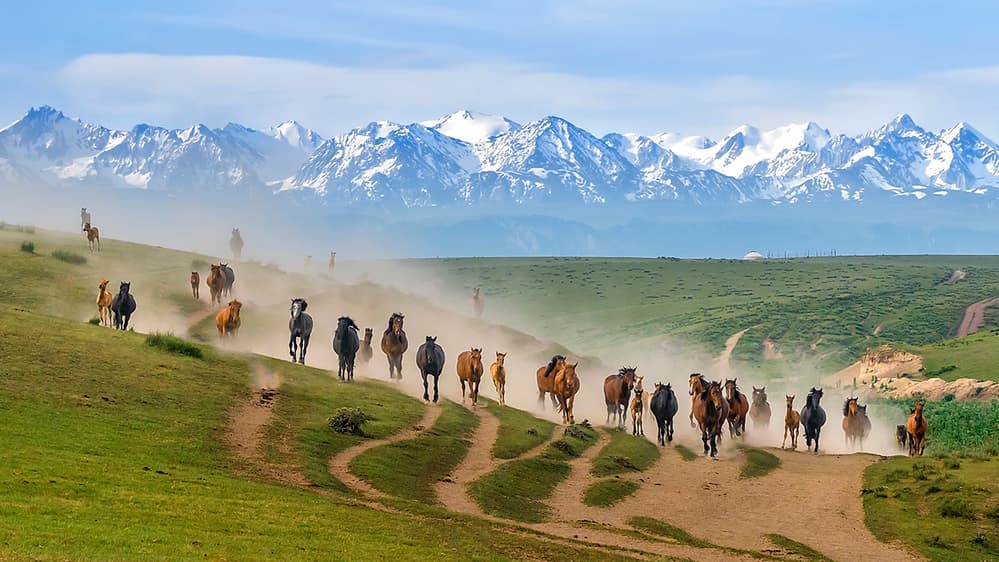 Majestic Mountain Horses by Hua Zhu — canvas wall art