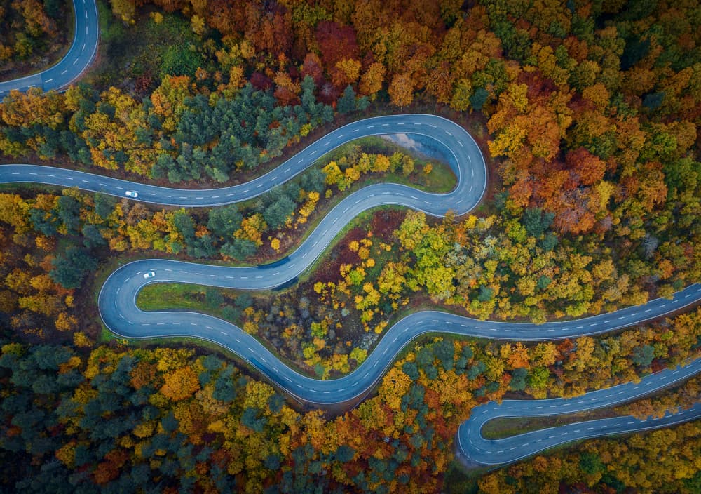 Winding Autumn Road by Josema Martin Espinar — canvas wall art