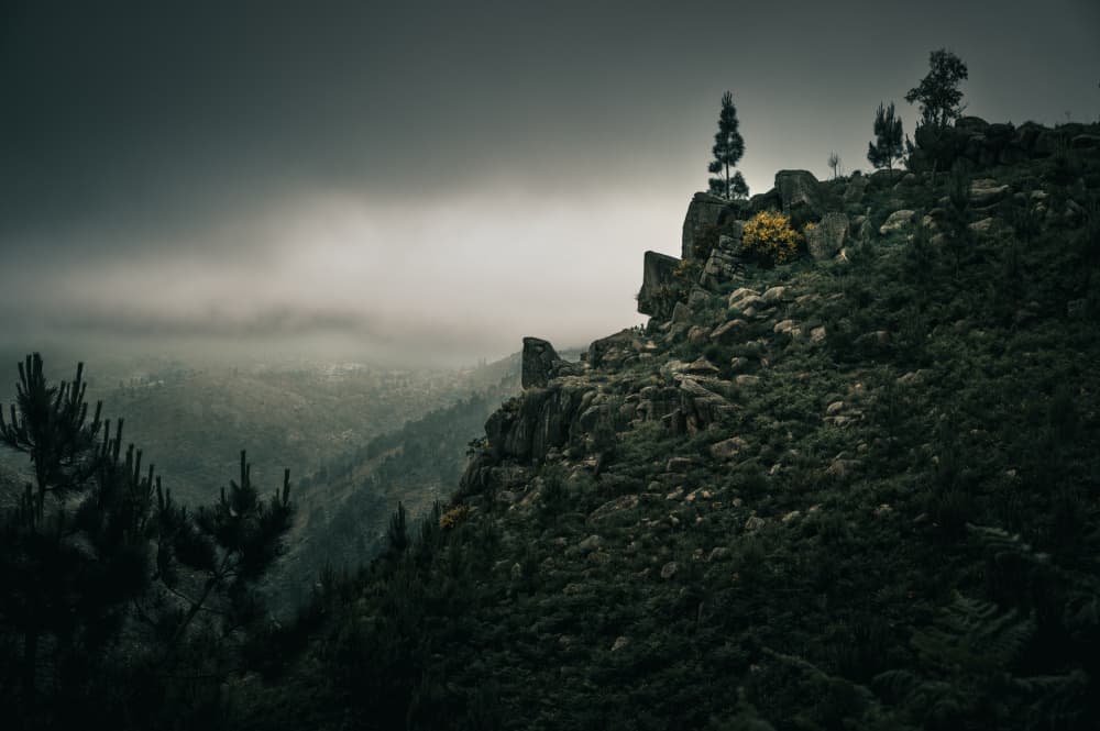 Misty Mountain Wilderness by Marc Huybrighs — canvas wall art