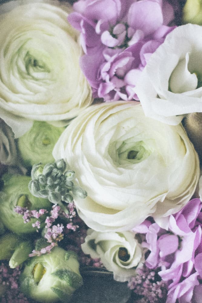 Petals of Elegance by uplusmestudio — canvas wall art