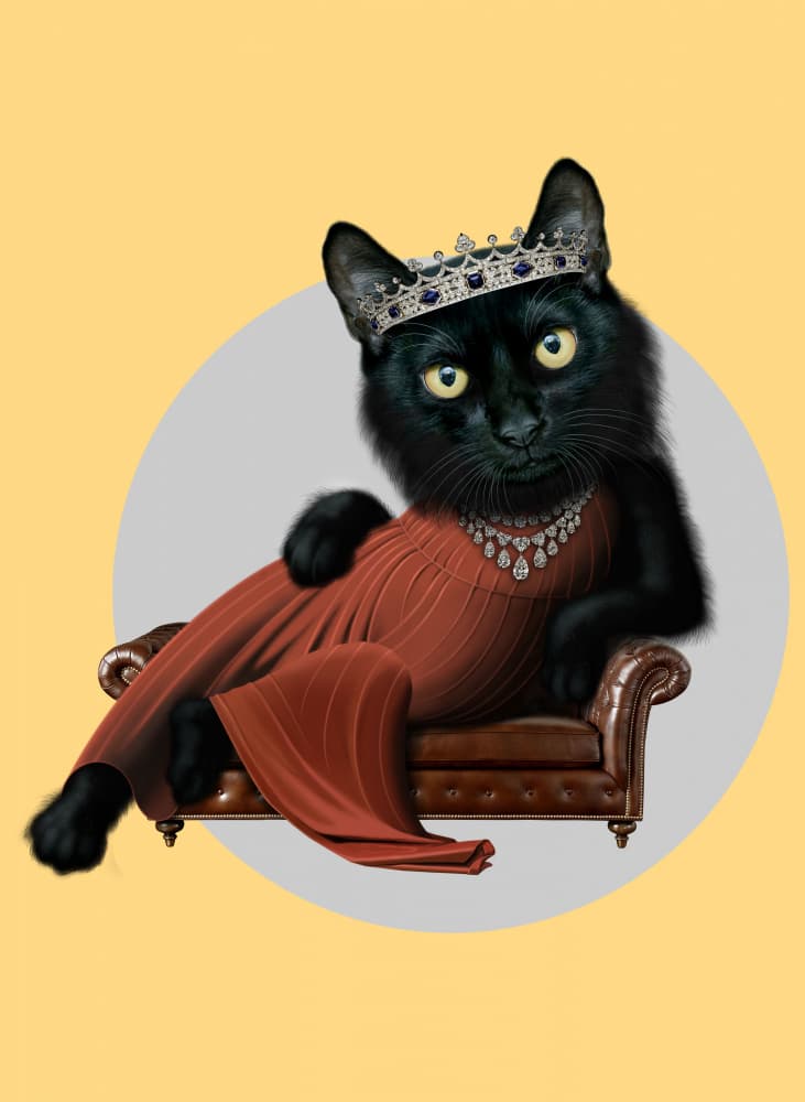 Regal Cat in Red Dress by Adam Lawless — canvas wall art