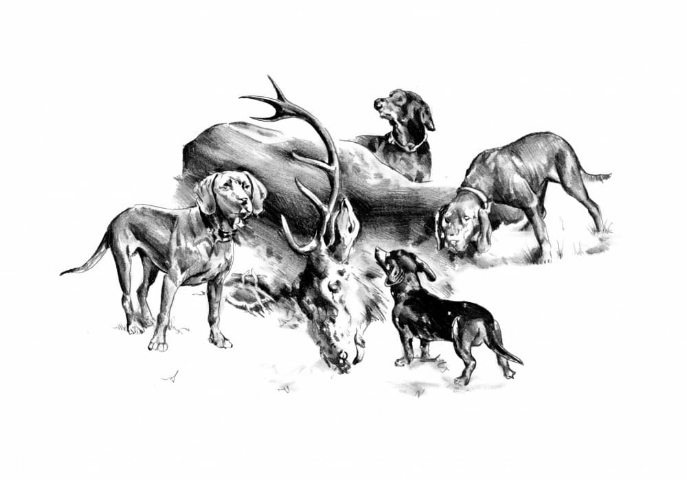 Hunting Dogs and Stag by Kulik — canvas wall art