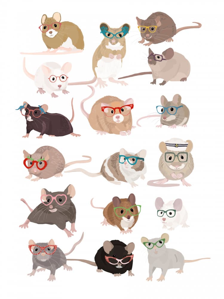 Cute Mice With Glasses by Hanna Melin — canvas wall art