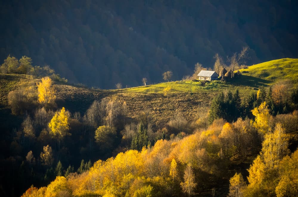 Golden Fall Cabin by Eduard Andrica — canvas wall art
