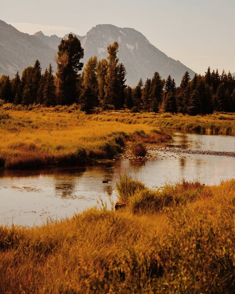 Golden River Mountain Meadow by Del Mundo Imagery — canvas wall art