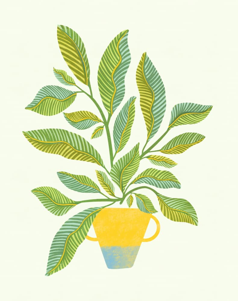Whimsical Sage by Kristian Gallagher — canvas wall art