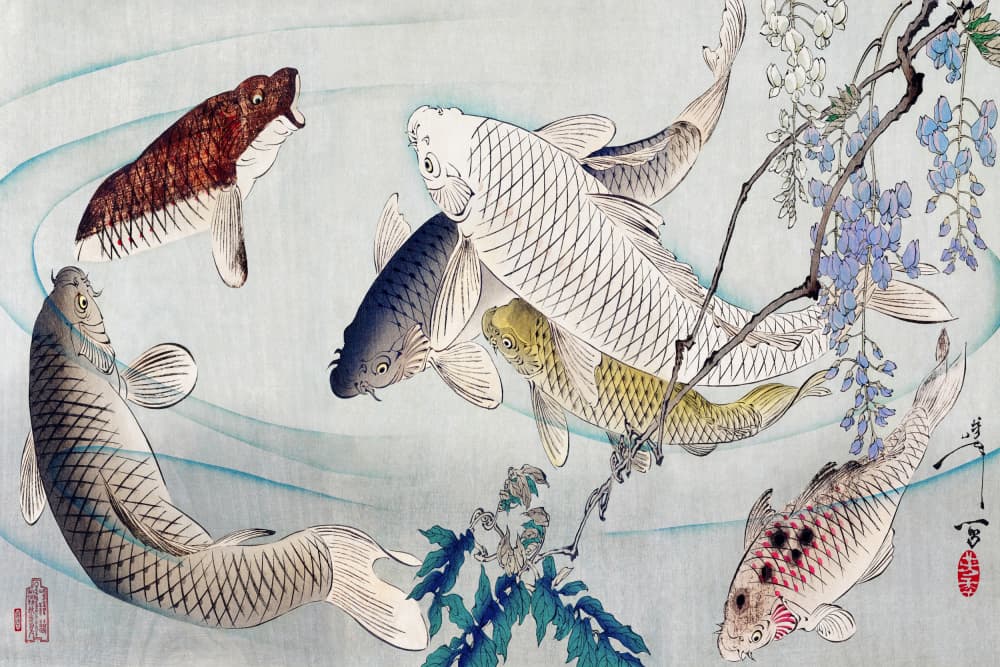 Six Carp Swimming Beneath Wisteria (1889) by Tsukioka Yoshitoshi — canvas wall art