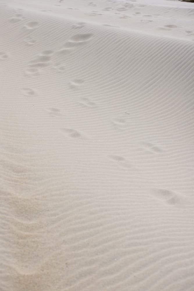 Footprints in Soft Sand by Mareike Böhmer — canvas wall art