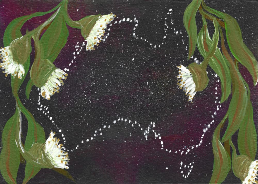 Starry Australian Blossoms by Janine Brewster — canvas wall art