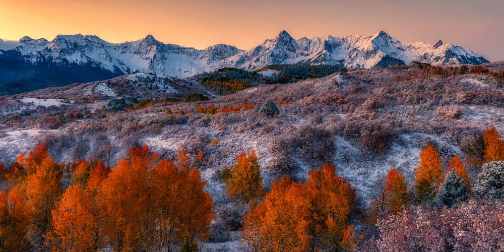 Golden Aspens Snowy Peaks by Mei Xu — canvas wall art