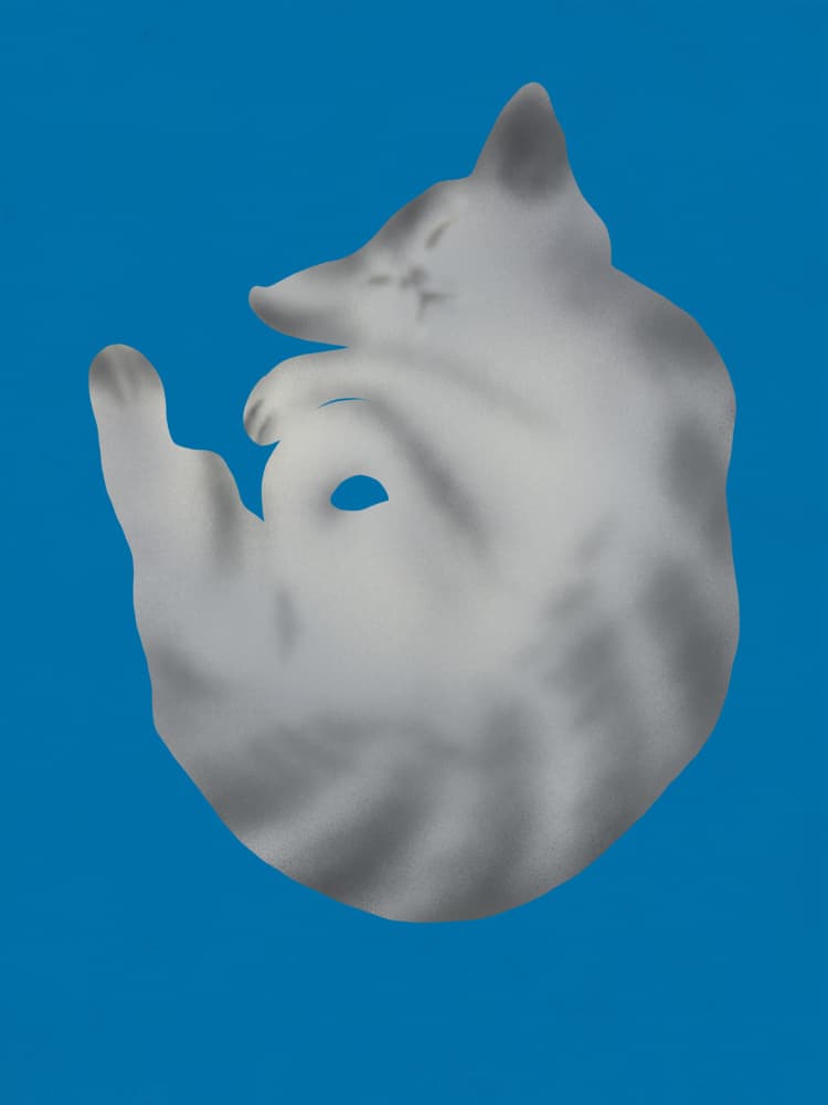 Peaceful Curled Cat by Little Dean — canvas wall art