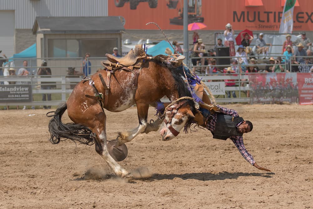 Rodeo Cowboy Falling by Henry Zhao — canvas wall art