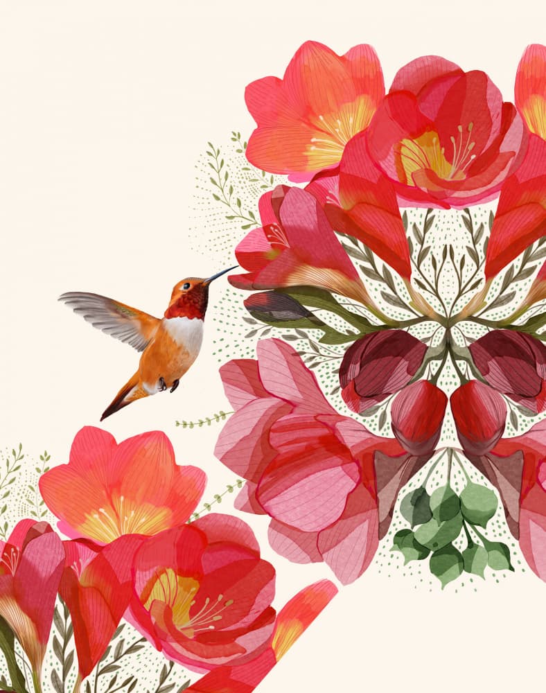 Hummingbird and Flowers by Katie O'Shea — canvas wall art