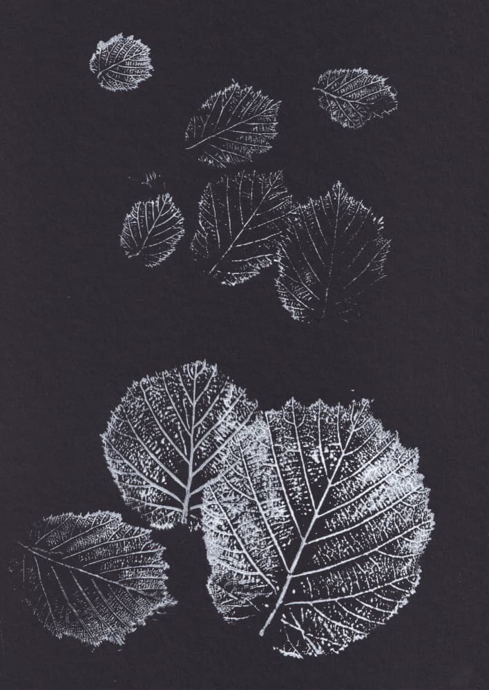 Botanical Leaf Prints by Maira Ribena — canvas wall art