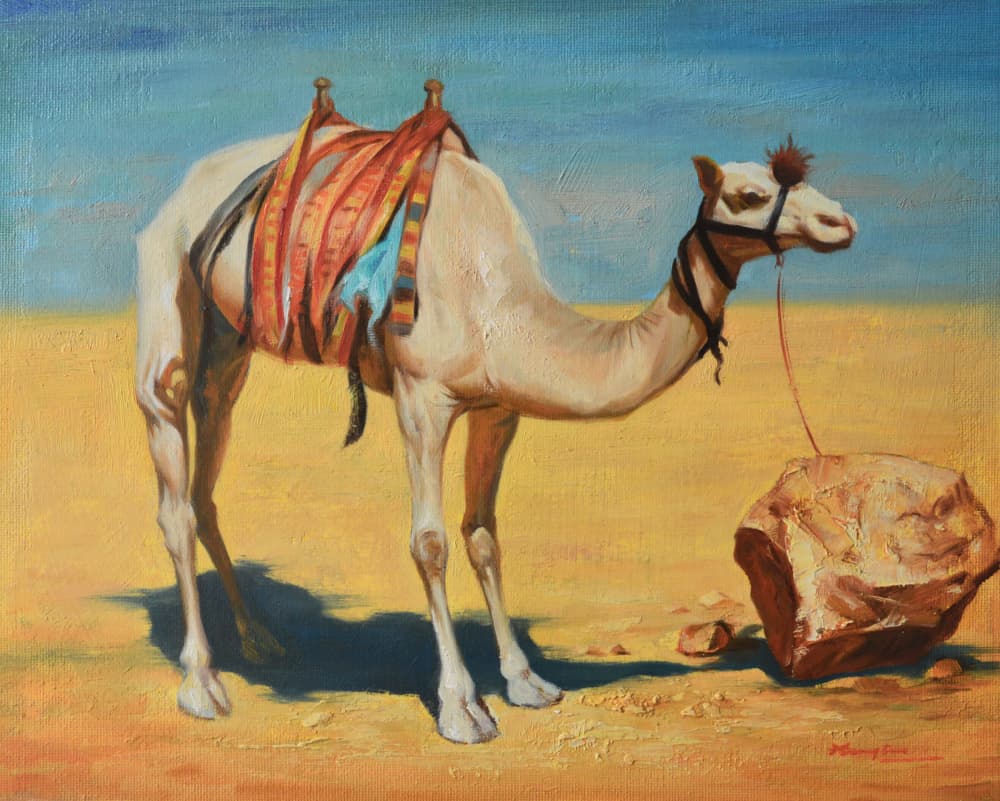 Tethered Desert Camel by Hongtao Huang — canvas wall art