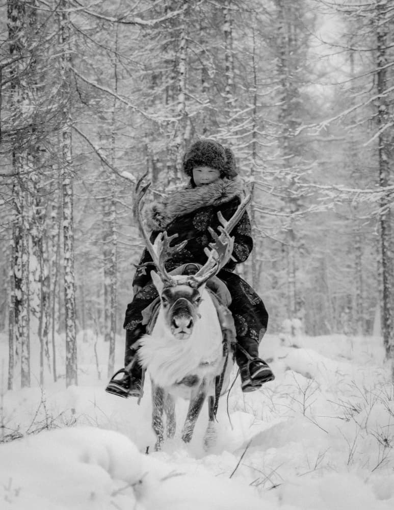 Reindeer Forest Adventure by ADIREK M — canvas wall art