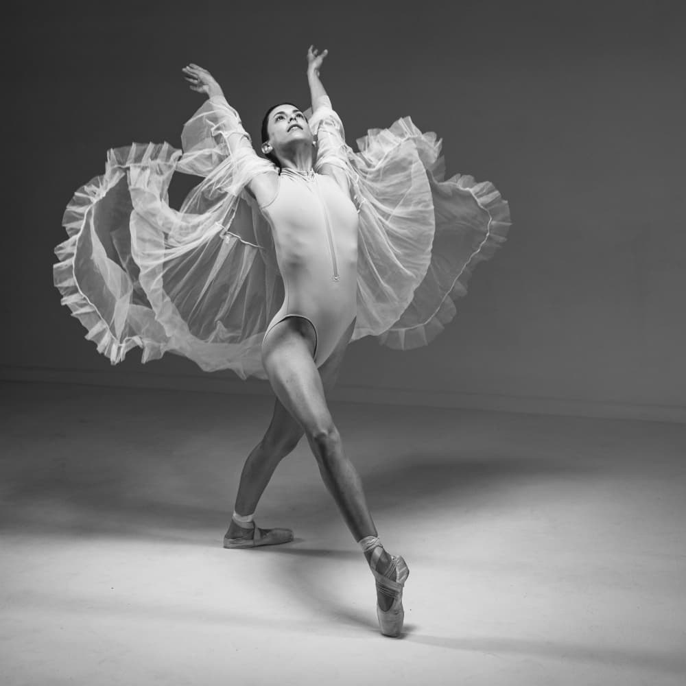 Graceful Ballet Movement by Gila Koller — canvas wall art